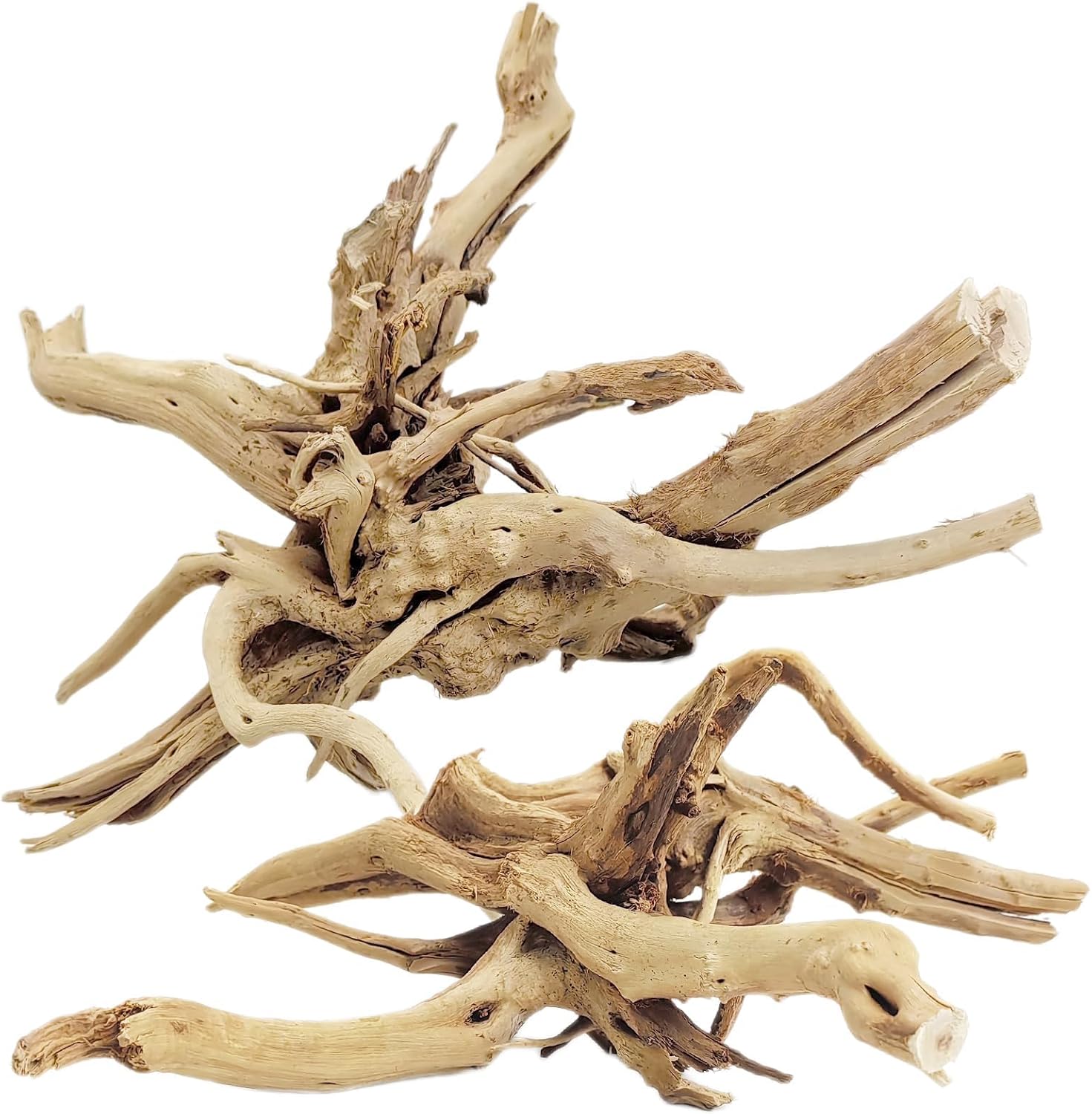 Aquarium Plants Live - 1PC 20-25CM Natural Driftwood Spider Wood