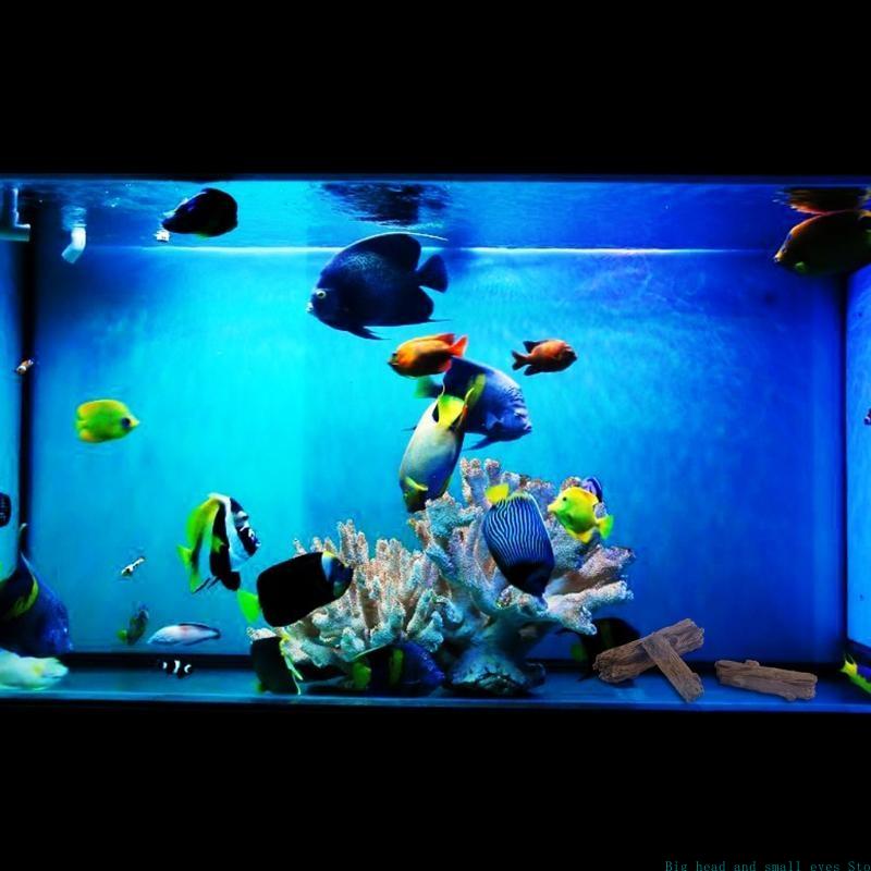 Aquarium Decoration Tree Trunk - Aquarium Plant Substrate 评论和价格