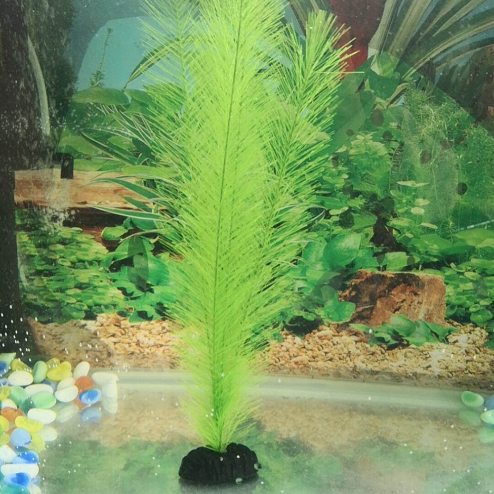1/3Pcs 28/40cm Aquarium Fish T - Aquarium Plants Live 评论和价格