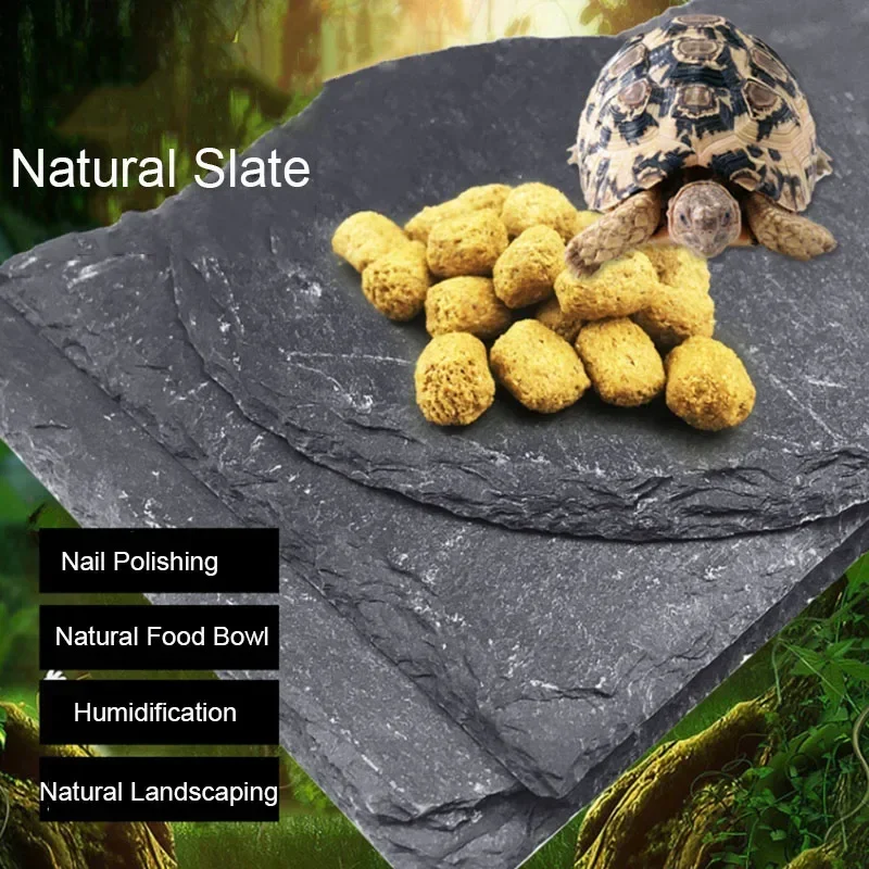 Natural Slate Aquarium Pet Rep - Aquarium Driftwood 评论和价格