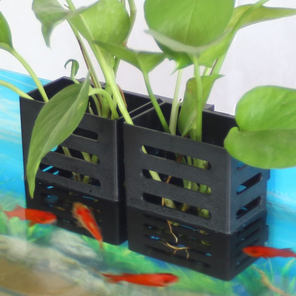 Aquarium Fish Tank Plant Holde - Aquarium Plant Holder 评论和价格