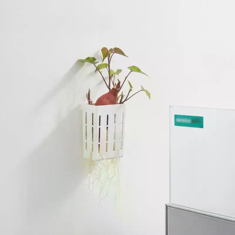 1Pcs Hydroponic Support Basket - Plant Aquarium Pot 评论和价格