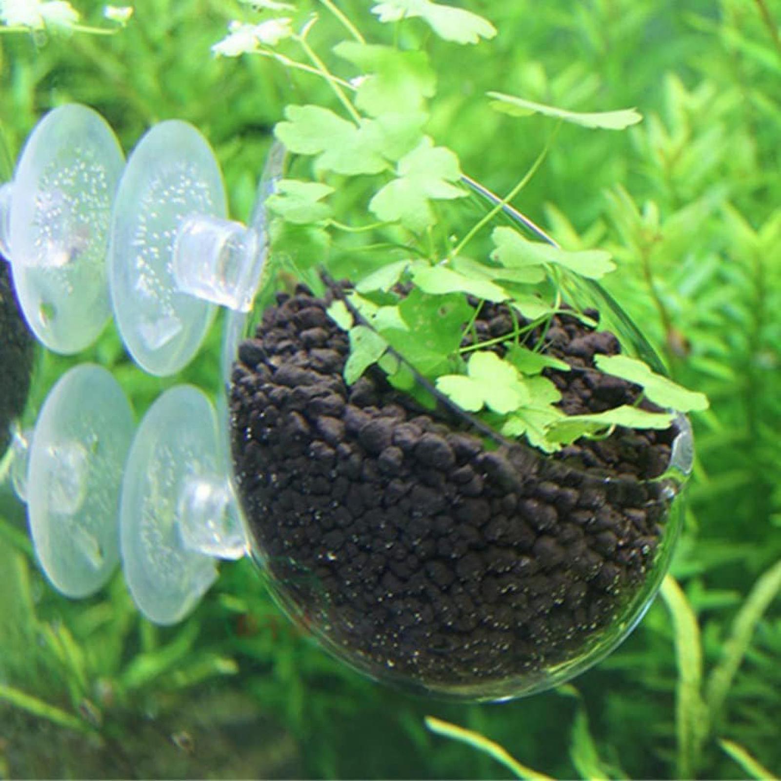 Aquarium Plant Holder Glass Aq - Plant Aquarium Pot 评论和价格
