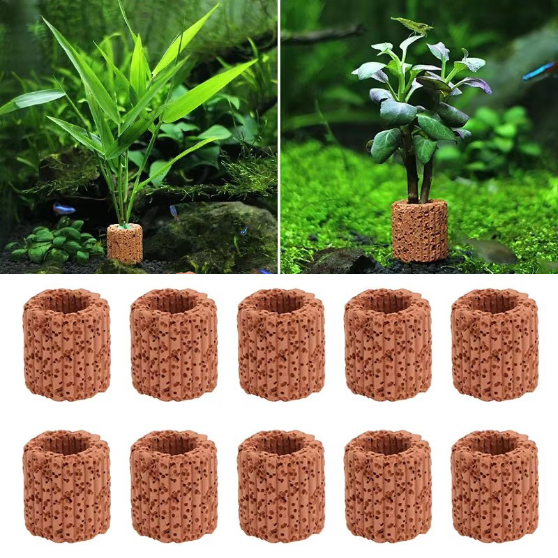 Aquatic Plant Fixed Ring for A - Aquarium Plants Live 评论和价格
