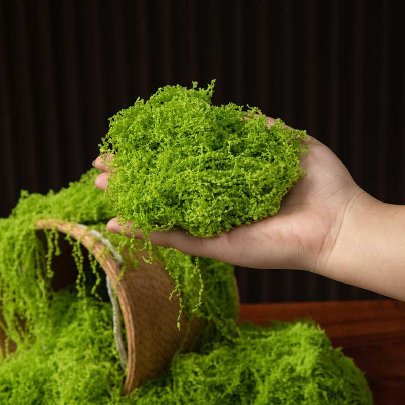 200g Eternal Life Moss DIY Cra - Aquarium Moss 评论和价格
