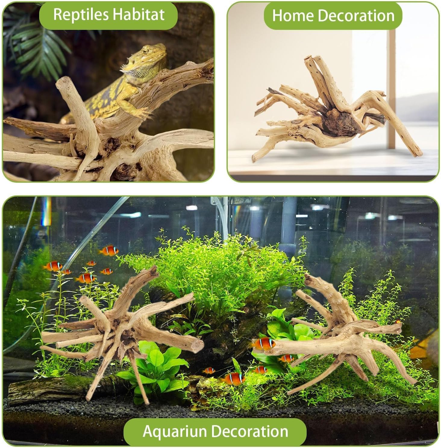 1PC  20-25CM Natural Driftwood - Aquarium Plants Live 评论和价格