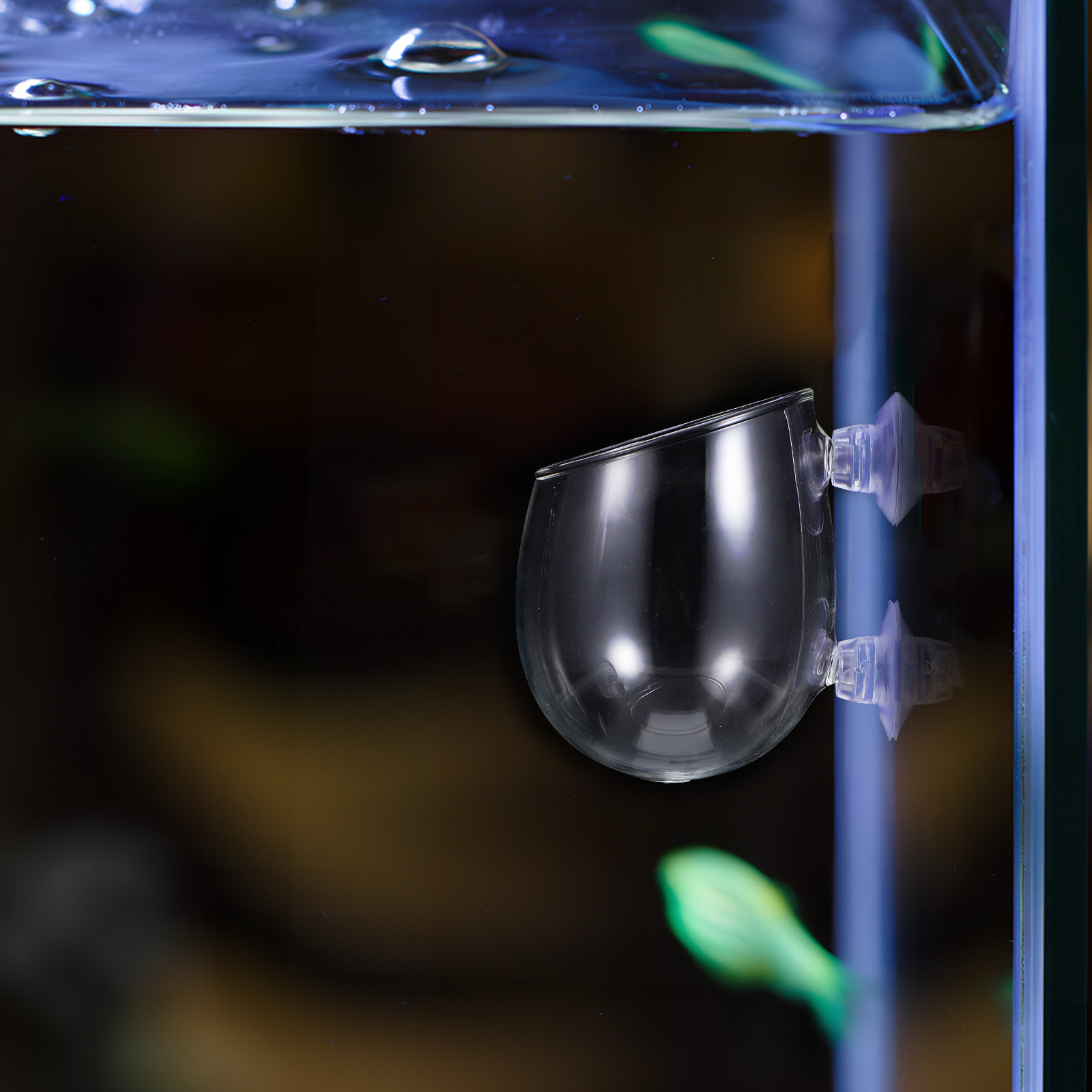Aquarium Plant Holders 2Pcs Gl - Live Plant Aquarium 评论和价格