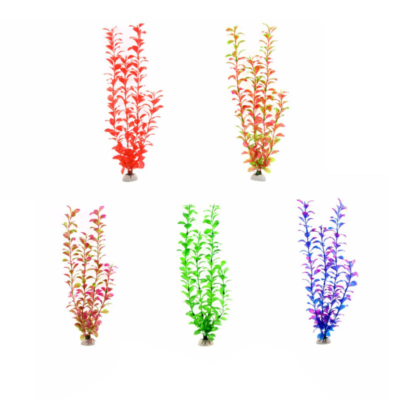 Ornament Aquarium Accessories  - Aquarium Plants Live 评论和价格