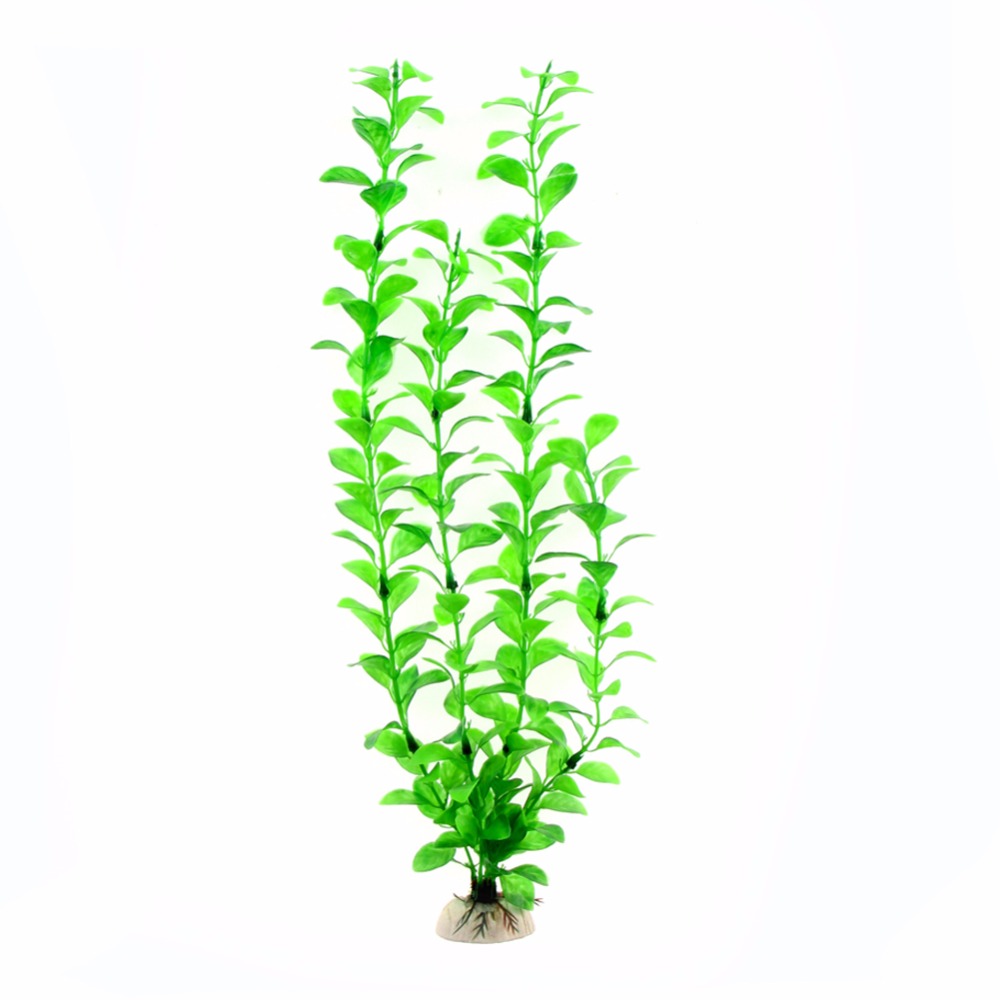Ornament Aquarium Accessories  - Aquarium Plants Live 评论和价格
