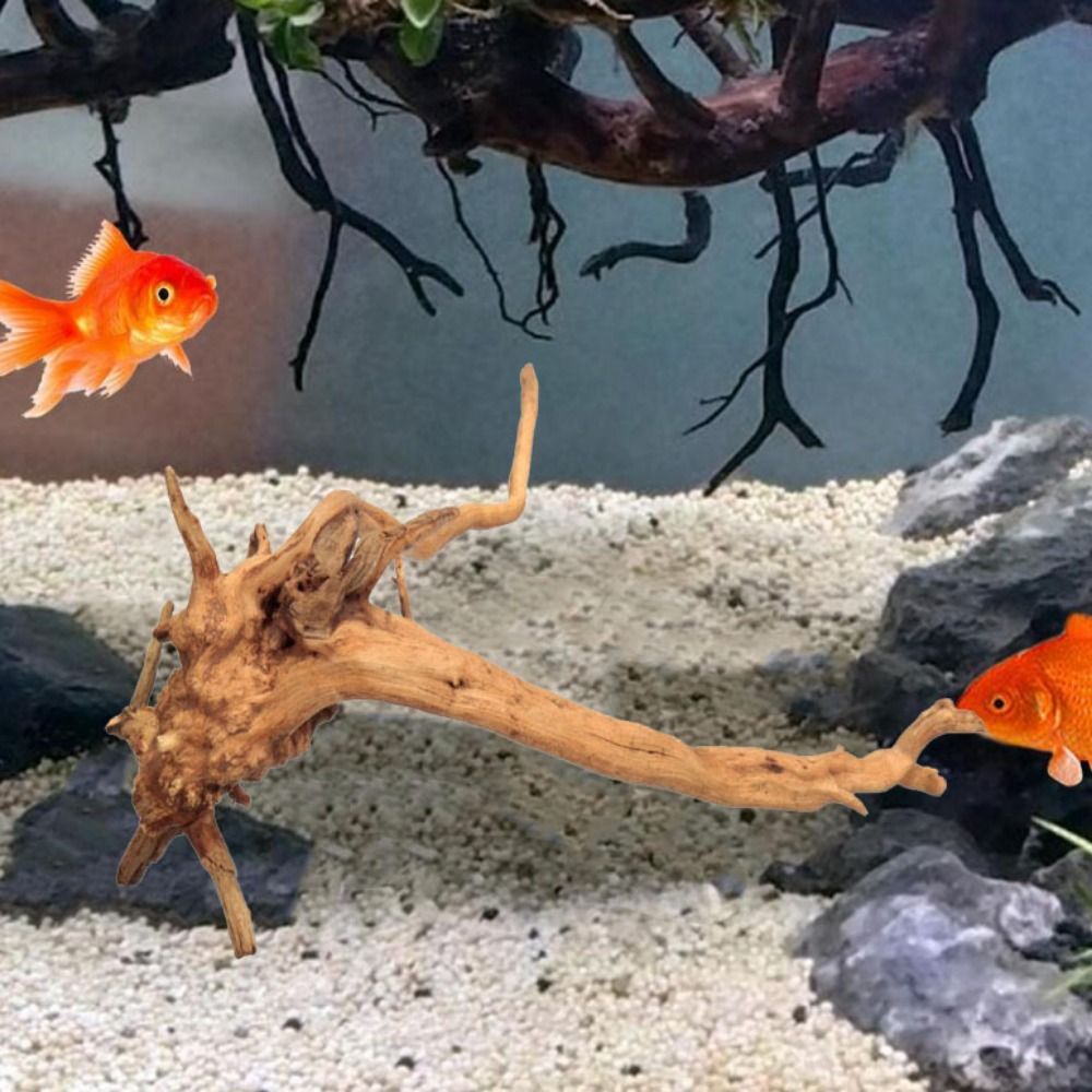20-25CM Large Aquarium Driftwo - Aquarium Plants Live 评论和价格