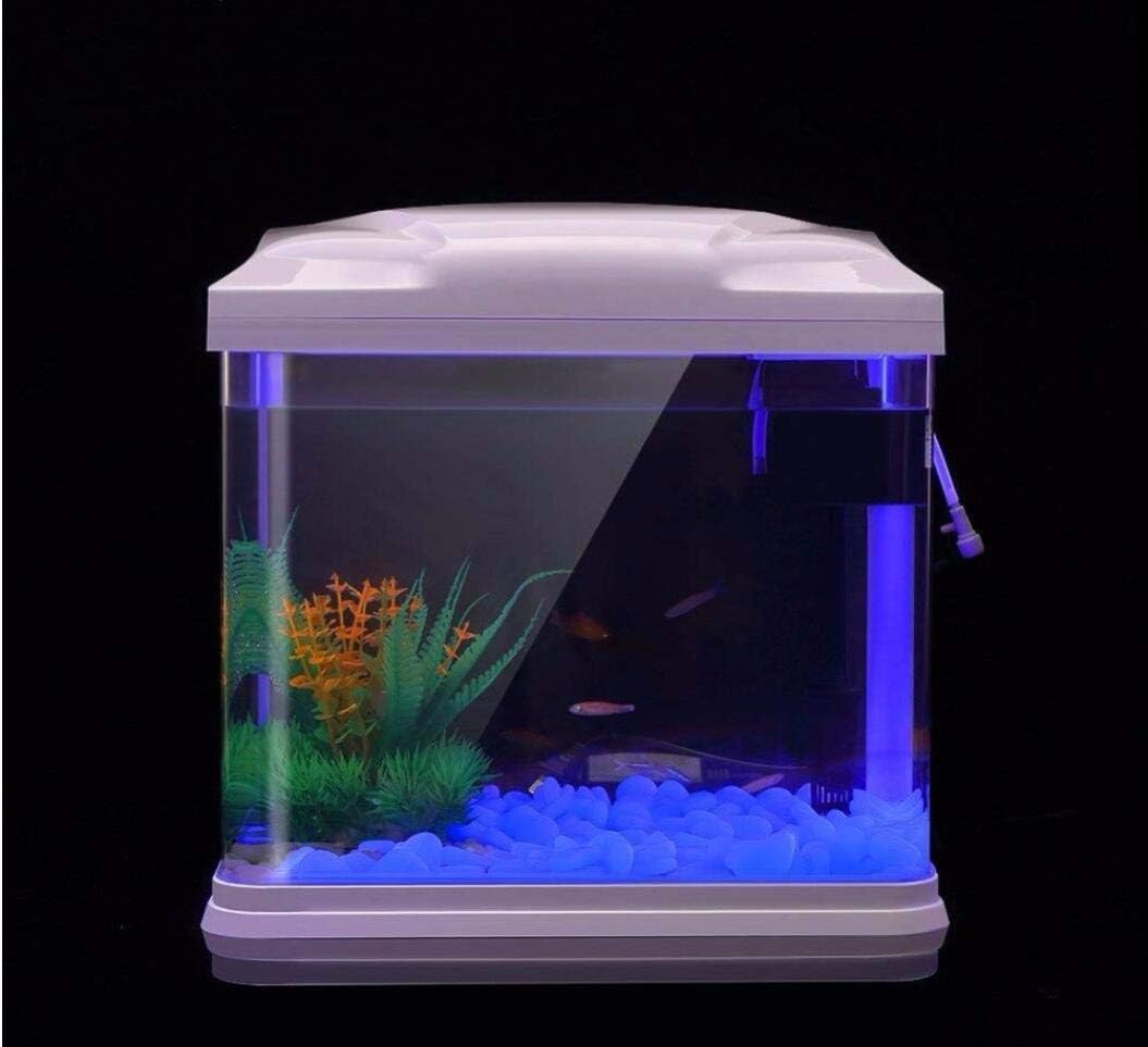 Fish Tank Rocks Glow Blue Pebb - Plant Aquarium Pot 评论和价格