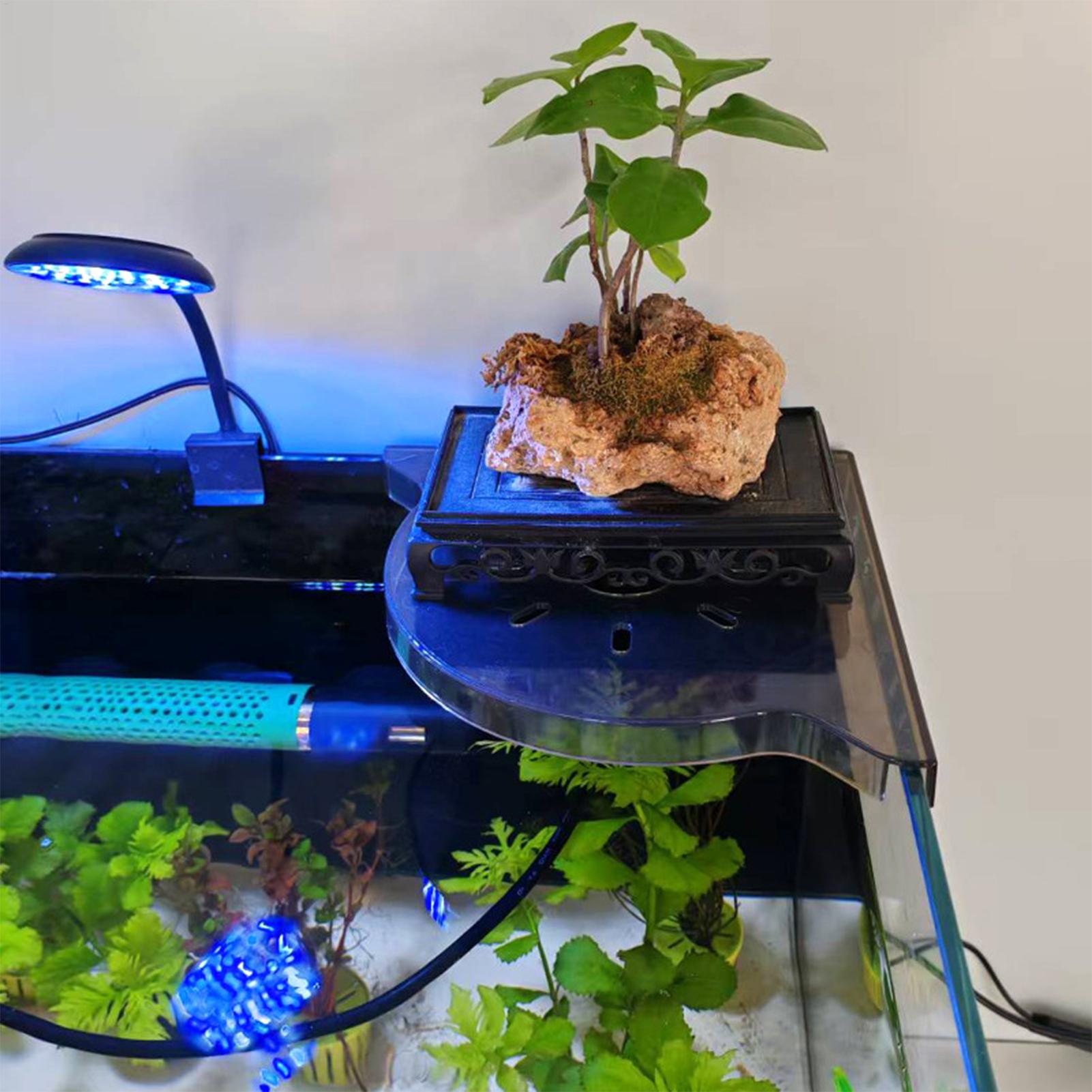 Triangle Fish Tank Corner Stor - Aquarium Plants Live 评论和价格