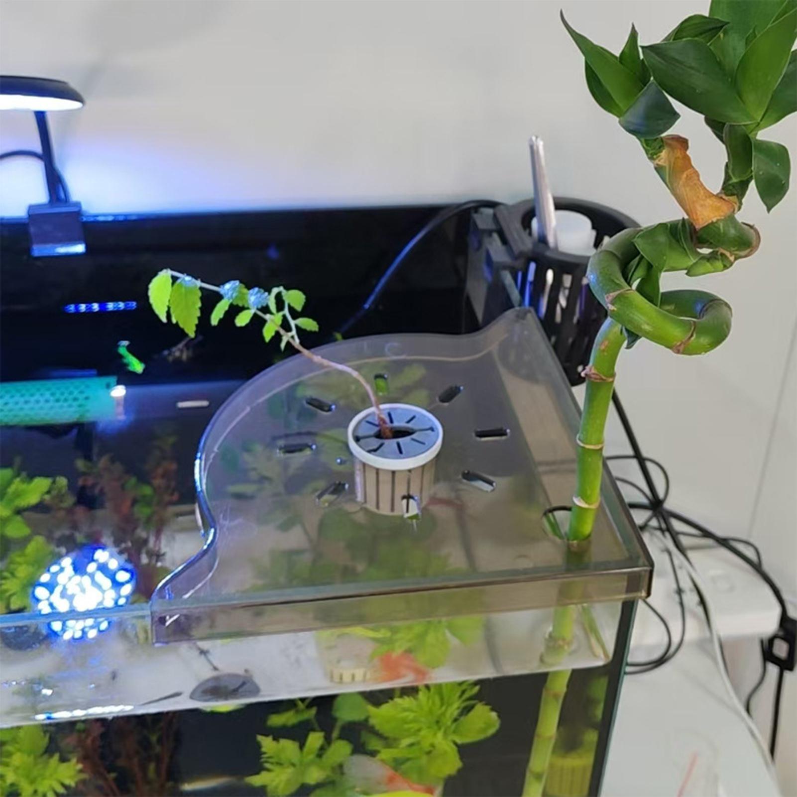 Triangle Fish Tank Corner Stor - Aquarium Plants Live 评论和价格