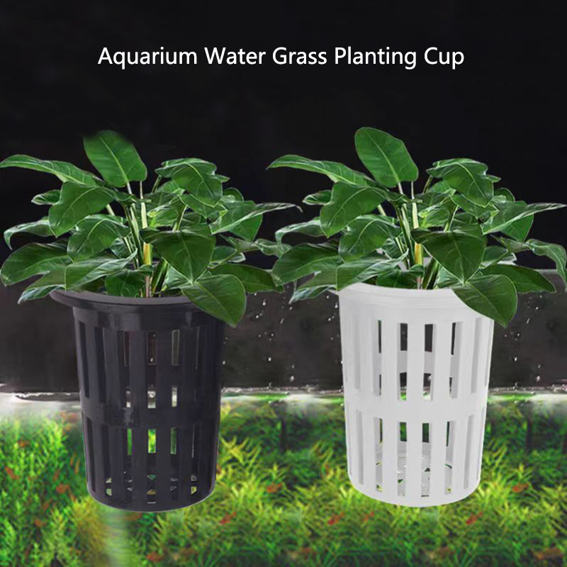 1/3Pcs Aquarium Plant Basket W - Aquarium Plants Live 评论和价格