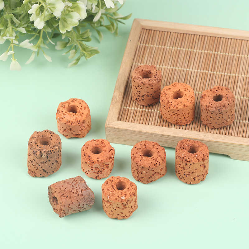 ^10Pcs Plant Ring Aquarium Fix - Aquarium Plants Live 评论和价格