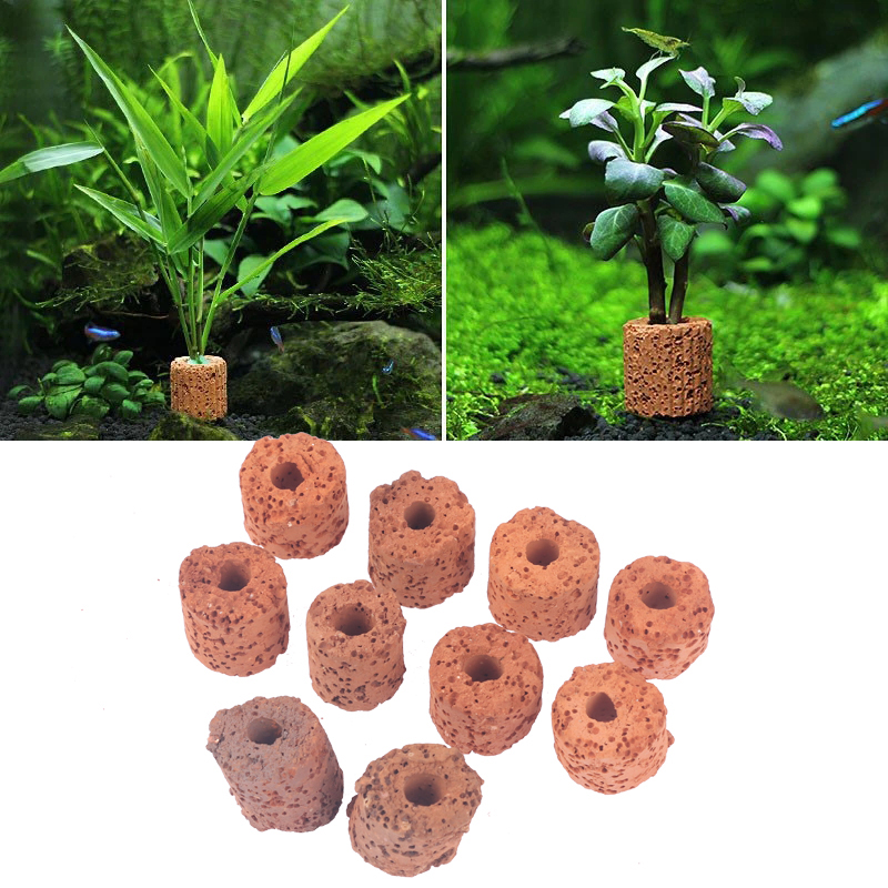 ^10Pcs Plant Ring Aquarium Fix - Aquarium Plants Live 评论和价格