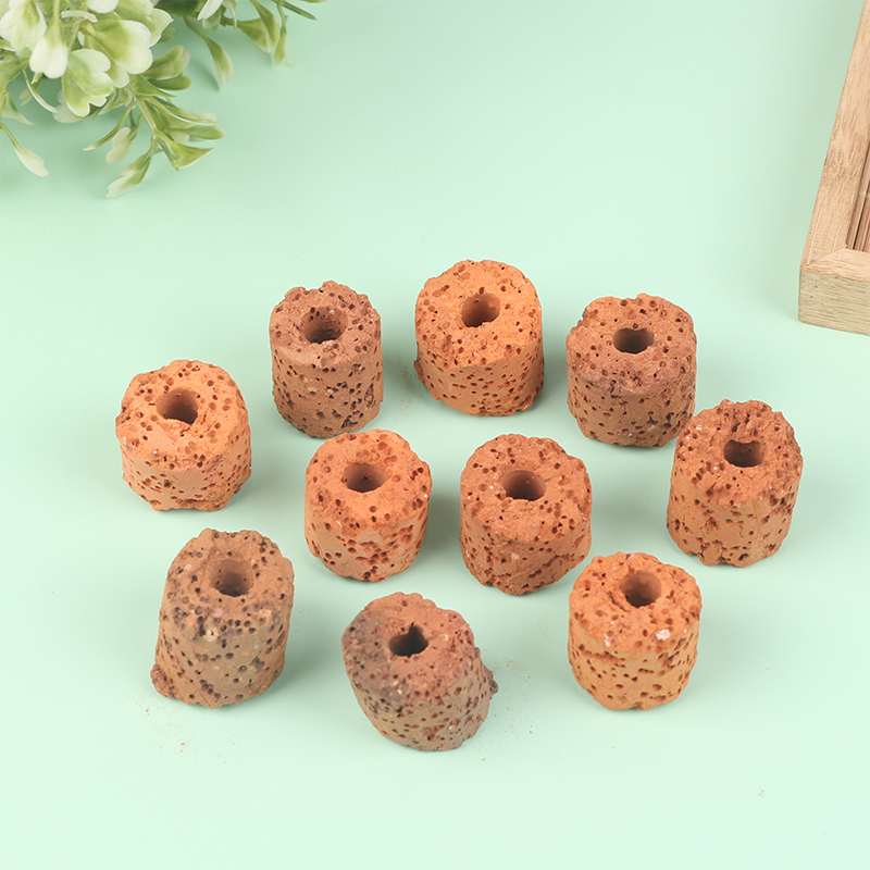 ^10Pcs Plant Ring Aquarium Fix - Aquarium Plants Live 评论和价格