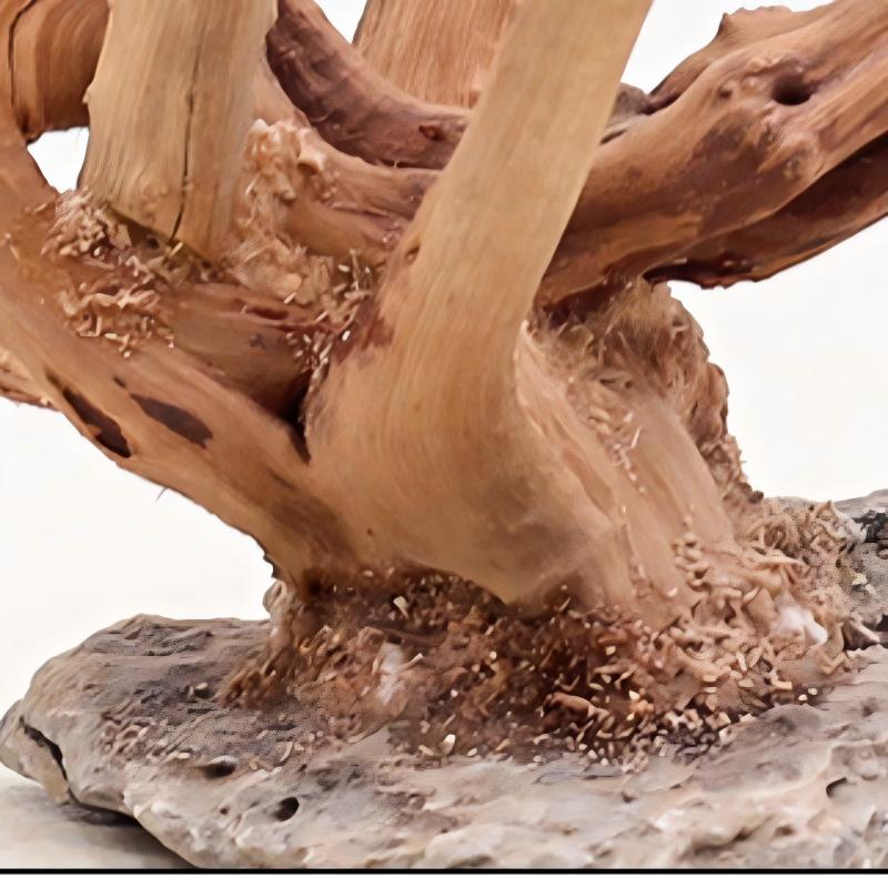 1PC Aquarium Landscaping Wood  - Aquarium Driftwood 评论和价格