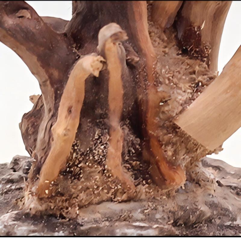 1PC Aquarium Landscaping Wood  - Aquarium Driftwood 评论和价格