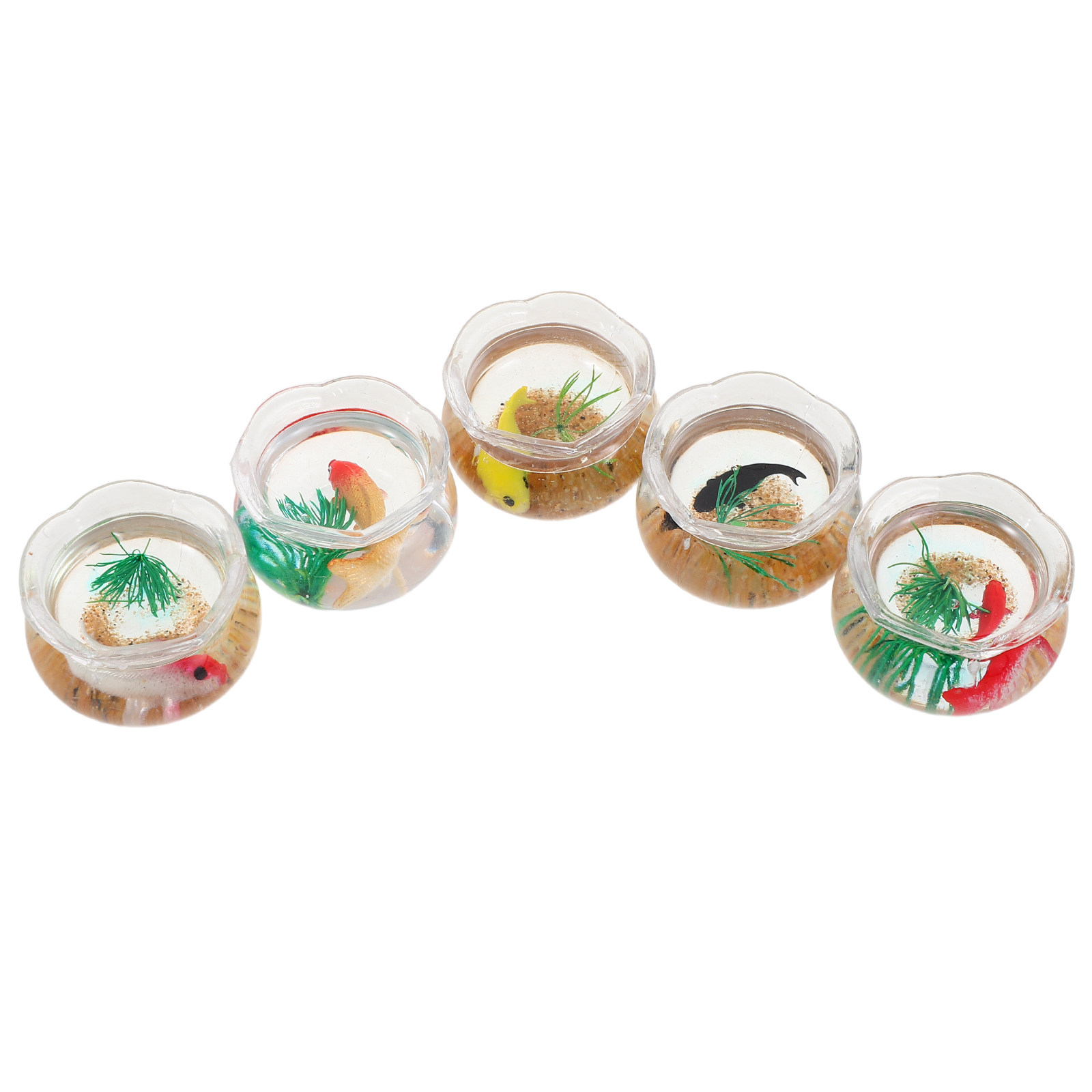 5pcs Miniature Koi Fish Tank:  - Planted Tank 评论和价格