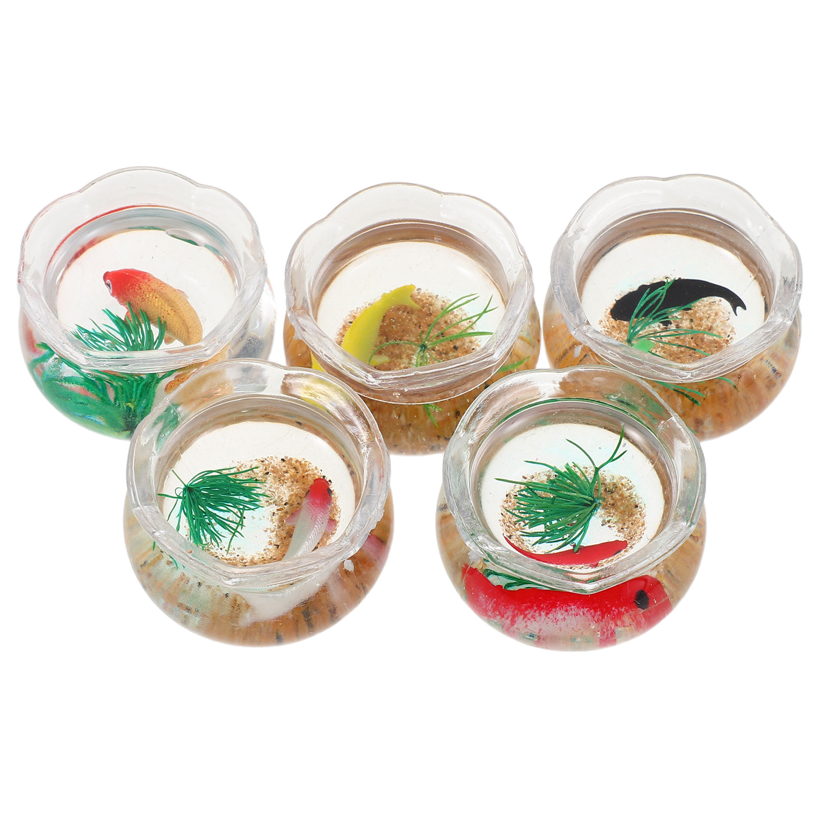 5pcs Miniature Koi Fish Tank:  - Planted Tank 评论和价格