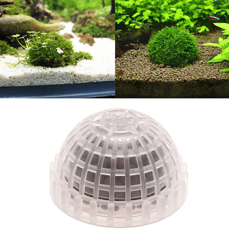 【B】Aquatic Pet Supplies Decora - Live Plant Aquarium 评论和价格